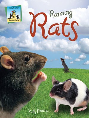 cover image of Running Rats